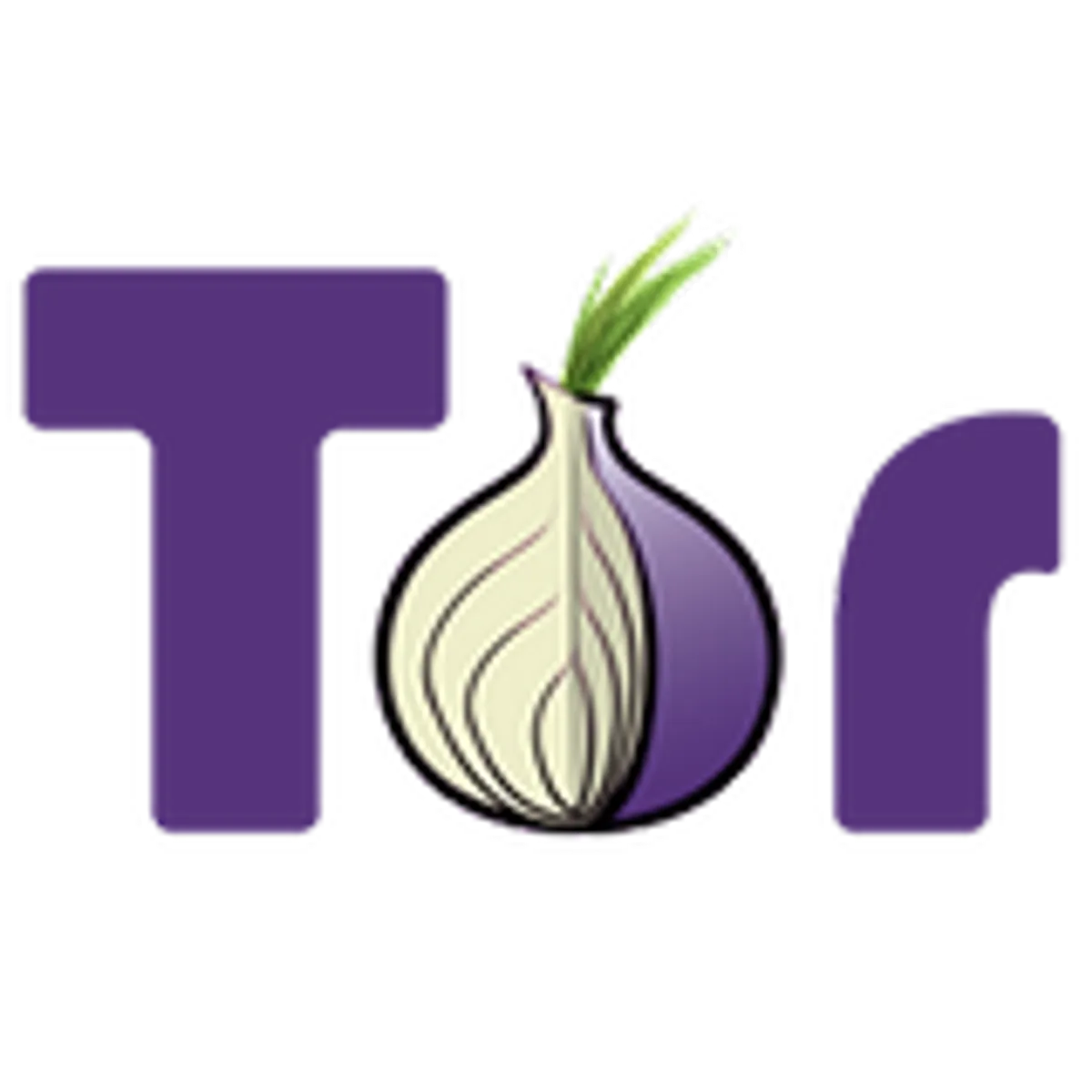 Run a hidden tor website